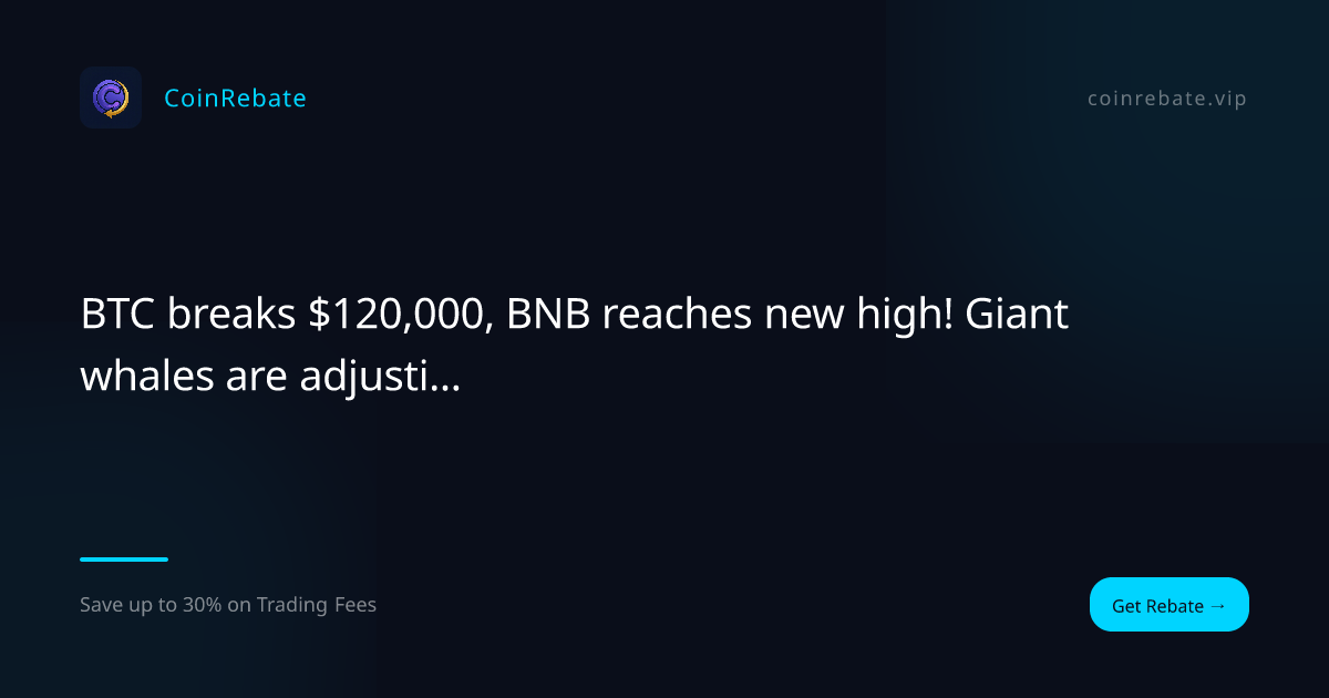 BTC breaks $120,000, BNB reaches new high! Giant whales are adjusting their positions like crazy. Lao Liek teaches you how to keep up with this market trend safely.